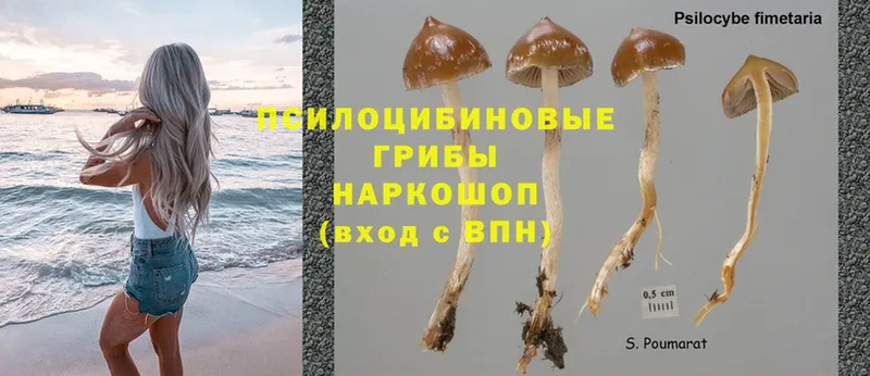 Галлюциногенные грибы MAGIC MUSHROOMS  Серов 